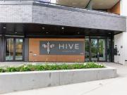 Hive at Sunnyside