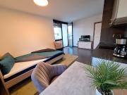 hochwertig möbliertes Apartment FREI AB AUGUST 2025