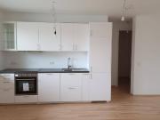 Hochwertig Sanierte 2 Zimmerwohnungen in Lauterach zu...