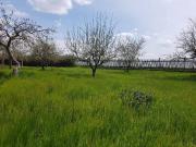 Hochwertiges, Kernsaniertes Einfamilienhaus mit...