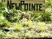 Hogback Rd Lot,albany, Plot For Sale