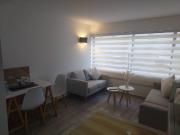 Holanda / Las Hortensias