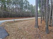 Hollands Landing Rd, Prosperity, SC 29127