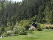 Holzhaus in absoluter Ruhelage mit eigenem Wald, Quellen...