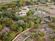 Home holiday Double/Twin room Pomelia