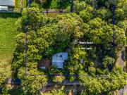 Homestead Haven in the Heart of Town