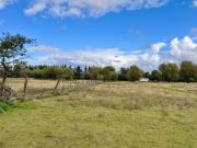 HORN IMMOBILIEN mit Video 5,6 ha bei Löcknitz, als...