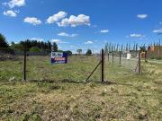 Hostal del Sol Lote de 2.000 m2