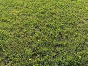 Hostens 33125 Programme neuf terrain neuf à vendre