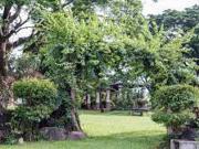 HOT DEAL: 662 SQM LOT FOR SALE NEAR EVIA LIFESTYLE MALL...