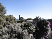 Villa de luxe de 14 chambres en vente Cap d'Ail, France