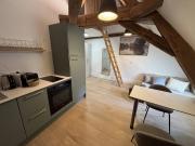 Hôtel particulier type 1 bis meuble centre ville