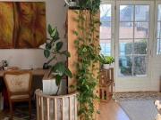 HÖTTING: Besondere 2 Zimmer Wohnung mit Südterrasse und...