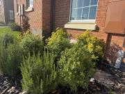 House 2 Bedroom For Sale Leicester Leicester 120000...