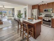 House with garden and terrace