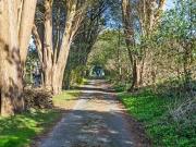 House 4 Bedroom For Sale Swansea Swansea 1600000 ELS98233138