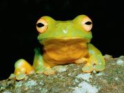 HOUSE AND LAND PACKAGES FOR SALE FROM EARLY $700 K...