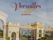 House and Lot for Sale at Las Pinas Alabang