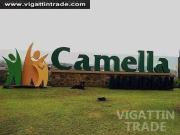 House and Lot for SALE Camella Homes Bacolod