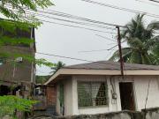 HOUSE AND LOT FOR SALE – Country Homes, Cabantian,...