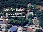 House and Lot for Sale in Binalonan, Pangasinan