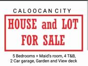 HOUSE AND LOT FOR SALE IN CALOOCAN CITY