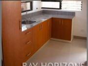 House and Lot For Sale in Las Pinas CityCamella Clasic