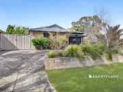 house at 11 Mitre Crescent, Berwick, VIC 3806, Australia