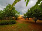 house at BRASÍLIA JARDIM BOTANICO