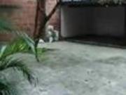 house at El portal, Envigado, Antioquia