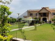 House available for rent in bani gala