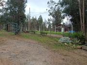 house FOCOLARE PROPIEDADES ARRIENDA PARCELA EN LEYDA,...