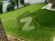 House For Rent 2 Kanal
