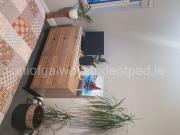 house for rent at barry avenue, galway