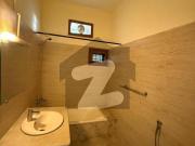 House For Rent In F 8 With Lawn F 8