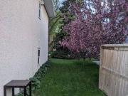 House for rent in Capitol Hill