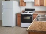 House for Rent in El Paso, Texas, Ref# 201996313