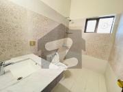 House For Rent In F 6