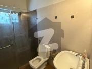 House For Rent In F 7