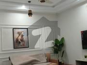 House for rent in g 9