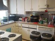 House For Rent In Killarney/ Glenbrook Sw