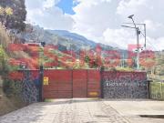 house for rent in San Cristobal