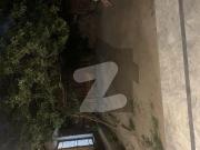 House For Rent Only For Residential Purpose Model Town