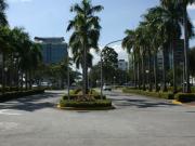 HOUSE FOR SALE IN AYALA ALABANG VILLAGE