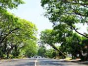 HOUSE FOR SALE IN AYALA ALABANG VILLAGE