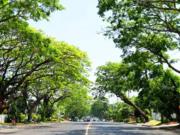 HOUSE FOR SALE IN AYALA ALABANG VILLAGE