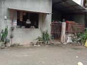 house for sale in Countryhomes Cabantian