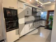 Looking For A House In D 12/3 Islamabad D 12/3