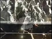 House For Sale In Sadi Garden