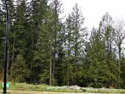 House for sale in Silver Valley Maple Ridge Maple Ridge...